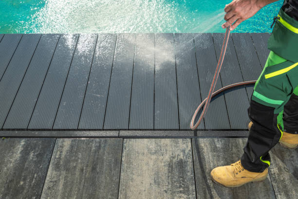 Best House Pressure Washing  in Lacoochee, FL