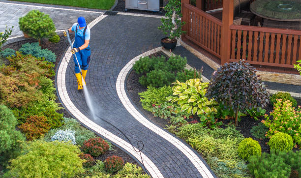 Best Concrete Pressure Washing  in Lacoochee, FL