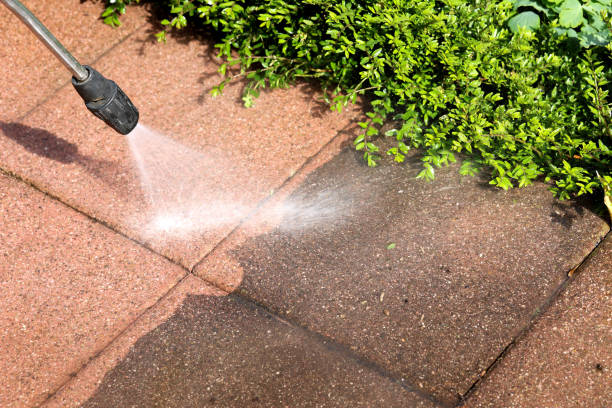 Best Exterior Home Cleaning  in Lacoochee, FL